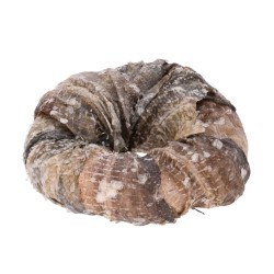 bePure Donut en peau de bœuf et de poisson article à mâcher pour chiens