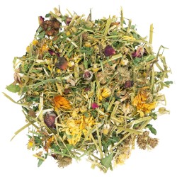 JR FARM Sea of Flowers 600 g Bucket