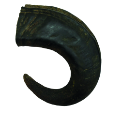 Corne de Buffle  Bubimex