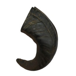 Corne de Buffle  Bubimex