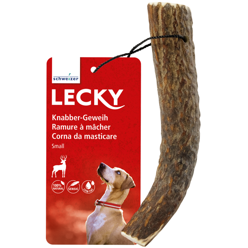Lecky Ramure à mâcher small