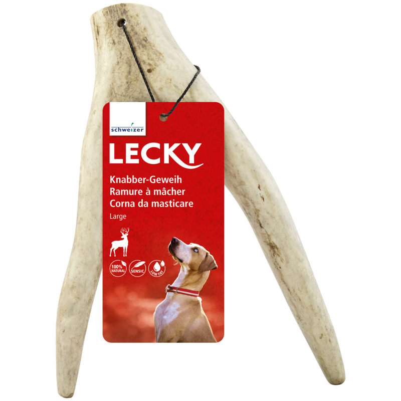 Lecky Ramure à mâcher large