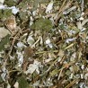 JR FARM Field Feuilles de baies
