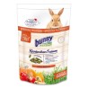 bunny Rêve de lapin young Special Edition