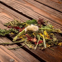 bunny Botanicals mélanger avec fleurs d’hibiscus ​& tige de persil