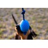 Kiwi Egg bleu Maxi jouet pour chiens