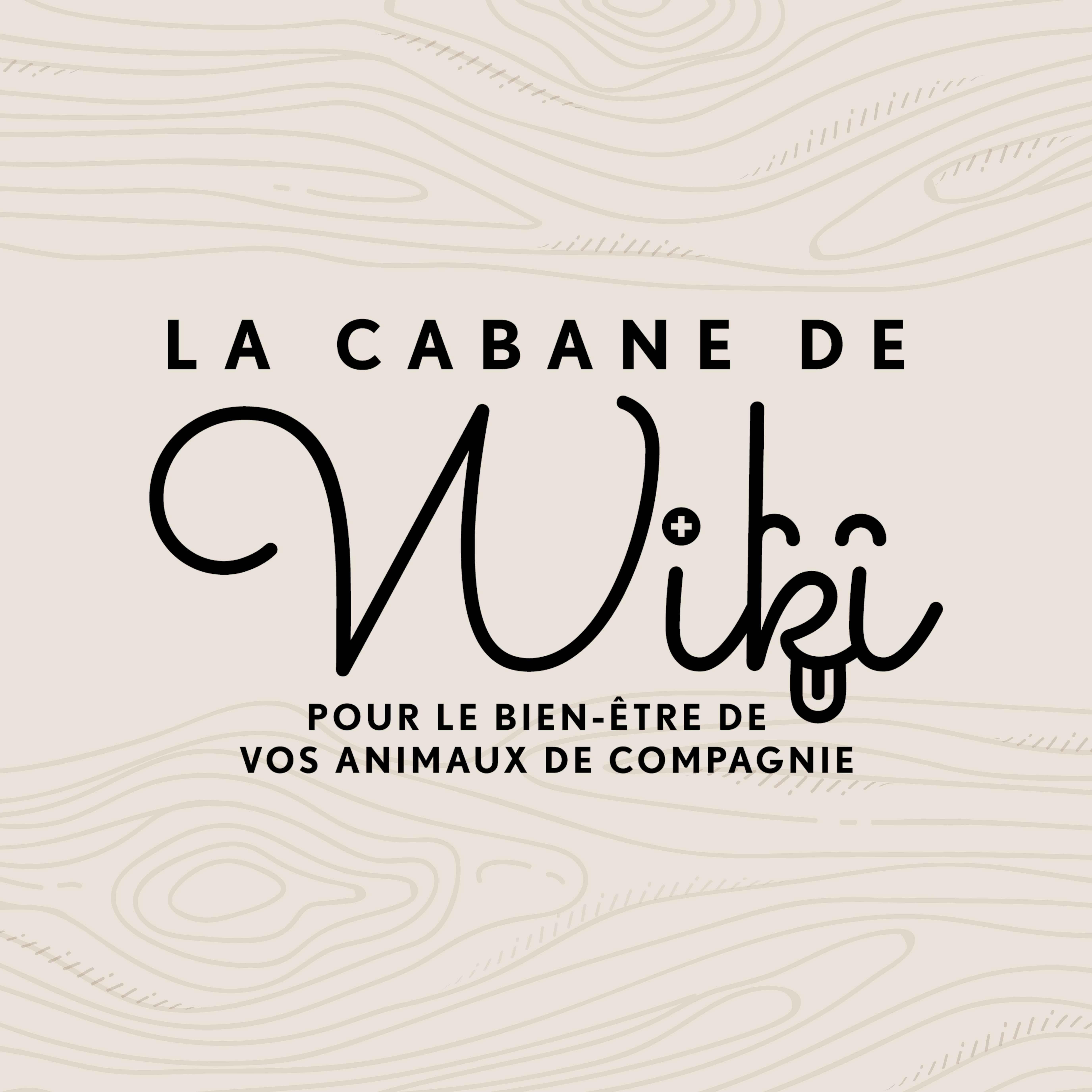Shop La Cabane de Wiki / MPA CREATION Sàrl